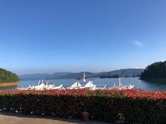 -千岛湖东南湖区