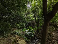 -水濂山森林公园