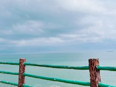 -广东惠东海龟国家级自然保护区