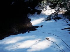 -龙苍沟森林公园