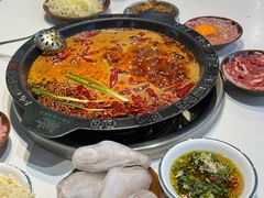-卤校长老火锅(杨家坪直营店)