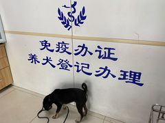 -申普宠物医院·眼科·心内科·影像科(普陀分院)