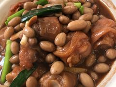 -黄埔华苑酒家(黄埔店)