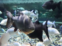 -成都浩海立方海洋公园