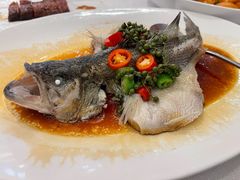 -金粤九号(李公堤店)