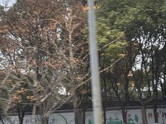 -陈武帝故宫