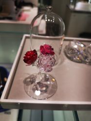 -SWAROVSKI(虹口凯德龙之梦店)