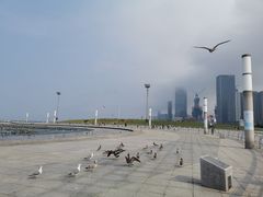 -东港音乐喷泉广场