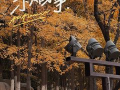 -西安世博园