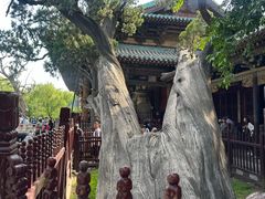 -晋祠公园