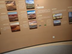 -恩格贝生态旅游区