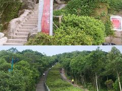 -梧桐山风景名胜区