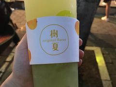 多肉绿葡萄-树夏(建设路店)