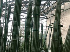 -南山植物园