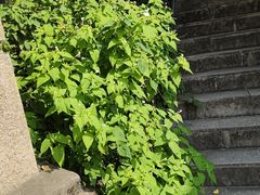 -狼山风景名胜区