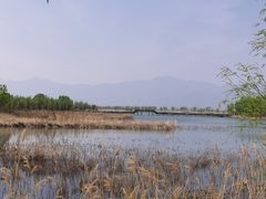 -野鸭湖国家湿地公园