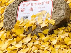 -上海方塔园