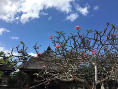 -乌布德传统市场