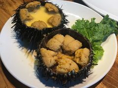 海胆蒸蛋-海味当家·蒸锅海鲜(星海公园店)