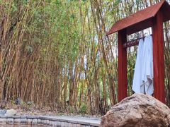 -森波拉火山温泉