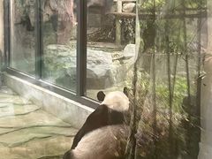 -苏州太湖国家湿地公园