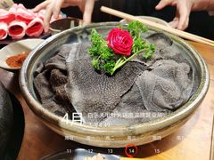 -白乐天毛肚火锅馆(南滨路店)