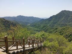 -大岭沟猕猴桃谷风景区