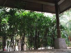 -龙达温泉生态城