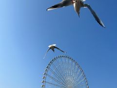 -蠡湖大桥公园