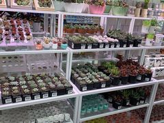 -KKV(天津津南吾悦广场店)
