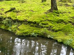 -西芳寺(苔寺)