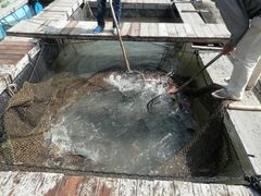 -海上驿站渔家菜馆