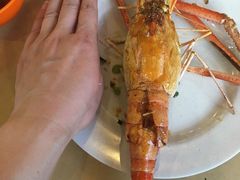 -大树下海鲜饭店
