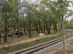 -秦皇岛野生动物园