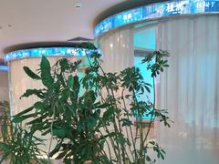 -桂满陇·杭州小馆(巴黎春天浦建店)