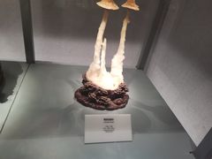 -长江文明馆
