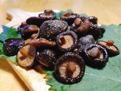 -囧吉香生蚝牛排馆(湖北路店)