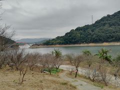 -广州市流溪河国家森林公园