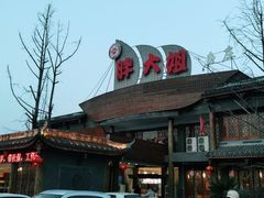 -胖大姐黄辣丁鱼庄(新津店)