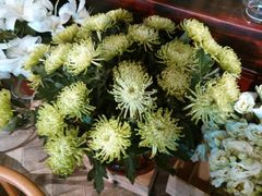 android_upload_pic-春暖花开(西溪店)