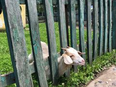 -哈尔滨北方森林动物园