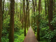 -同里国家湿地公园