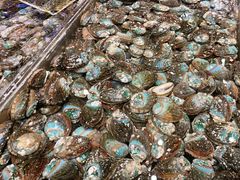 -海鲜e族(马王堆店)