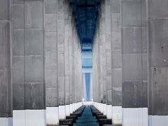 -中澳友谊花园