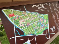 -上海长兴岛郊野公园