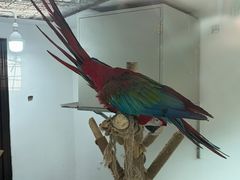 -青藏高原野生动物园