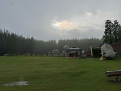 -黄海国家森林公园