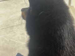 -美迦爱-牙专科·兔科·骨科诊疗中心(北苑店)