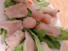 -金砂阿洲鱼册店