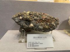-湖南省地质博物馆